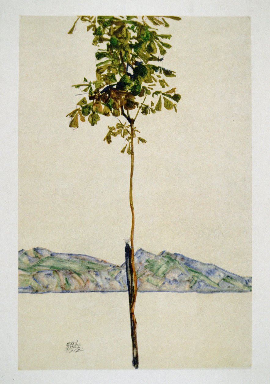 Baeumchen - Castagno sul lago di Costanza da Egon Schiele