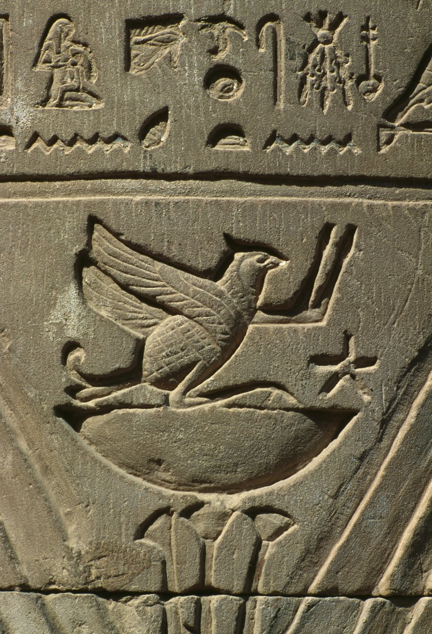 Dettaglio di un rilievo, geroglifici da Egyptian