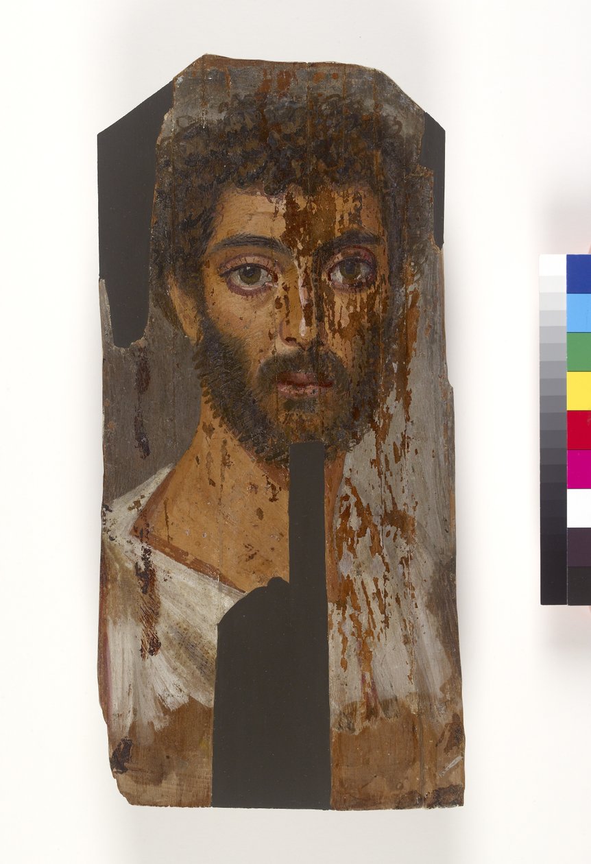 Ritratto di mummia maschile, probabilmente II-III secolo d.C. da Egyptian