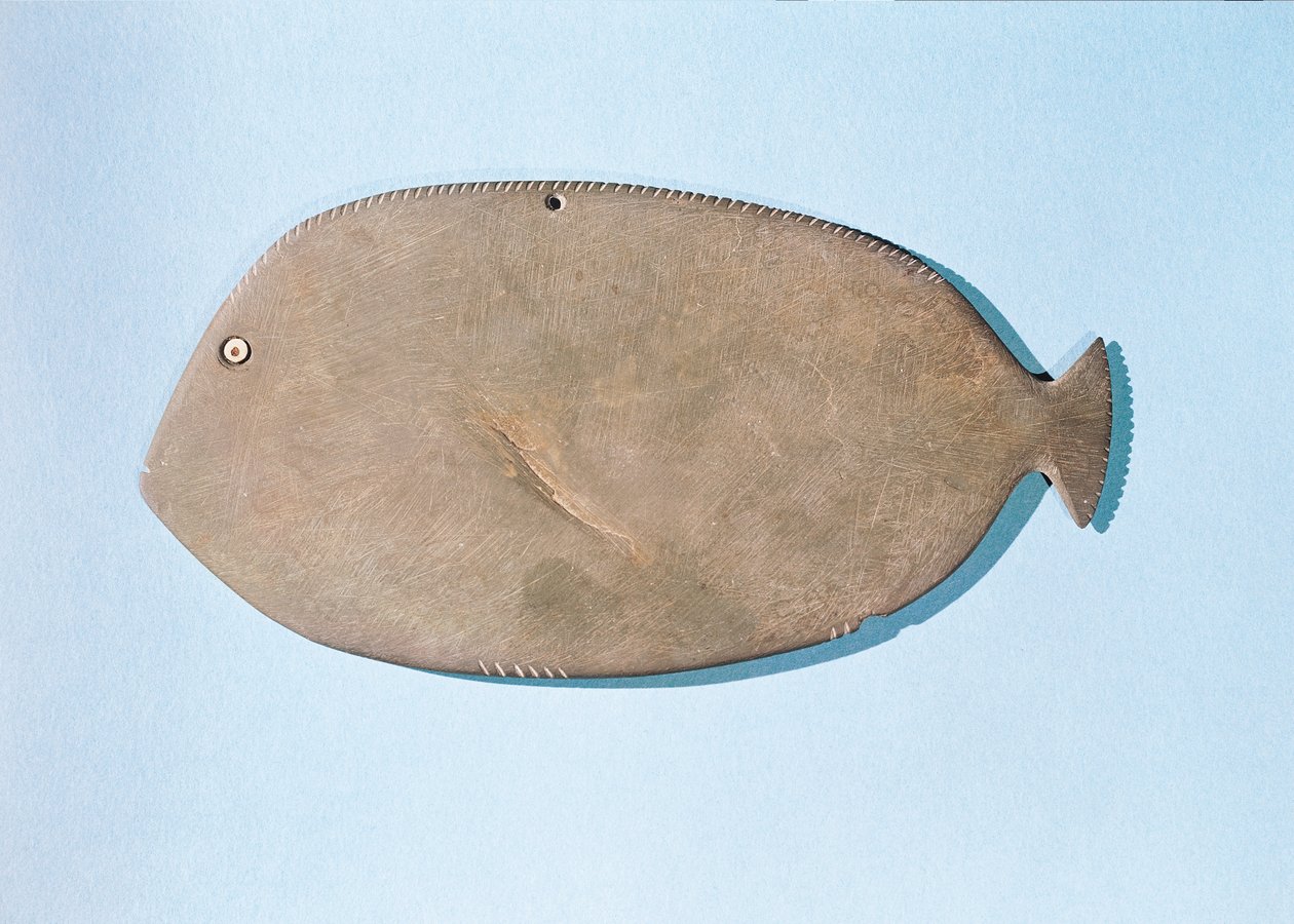 Tavolozza a forma di pesce, periodo predinastico (5000-3100 a.C.) da Egyptian