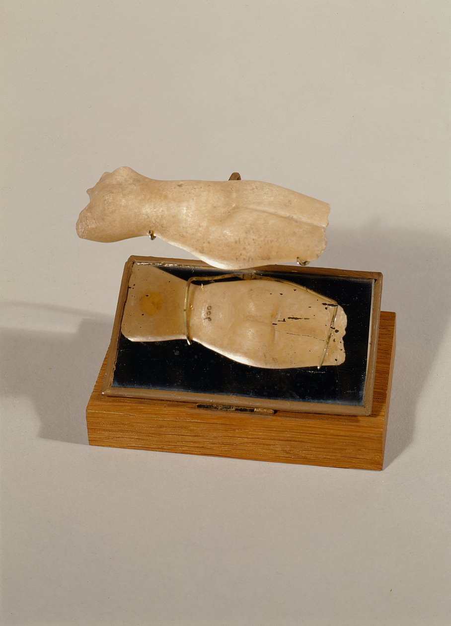 Torso di una donna, Nuovo Regno (alabastro) da Egyptian 18th Dynasty