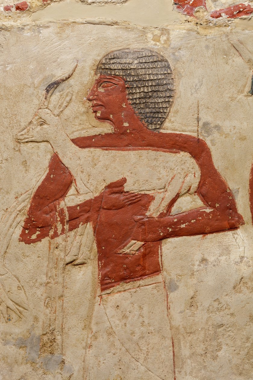 Tomba Mastaba di Perneb, c.2381-2323 a.C. da Egyptian 5th Dynasty