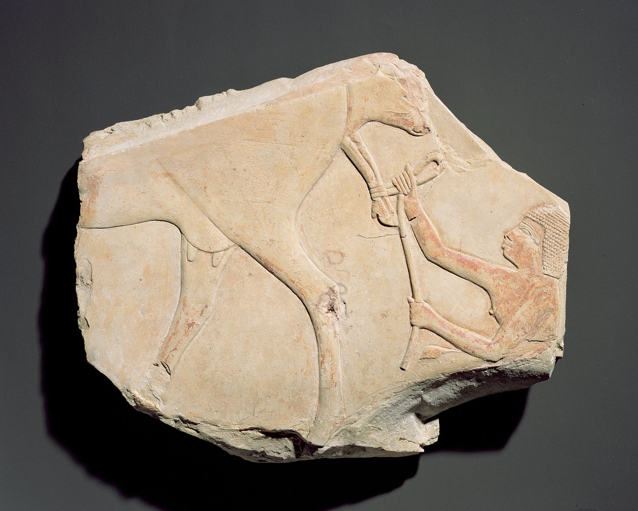 Frammento di un rilievo che raffigura la nascita di un vitello, da Asasif, Tebe, Terzo Periodo Intermedio (c.1069-664 a.C.) da Egyptian