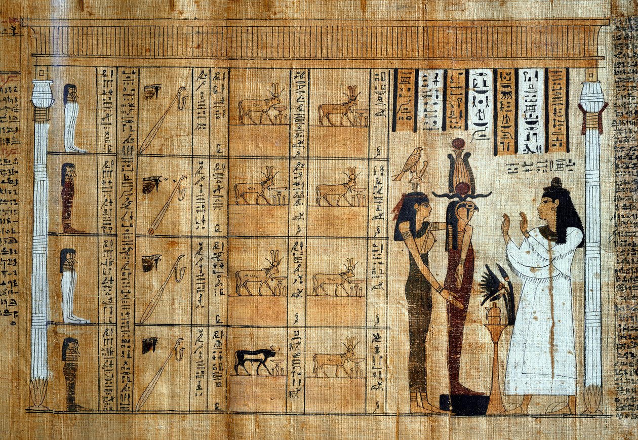 Immagine sconosciuta da Egyptian