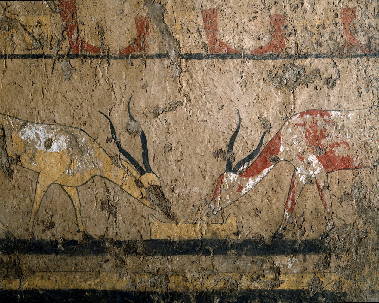 Antichità egizia: allevamento di bestiame. Affresco della tomba della regina Neferou III. XII dinastia. 2200-2000 a.C. Da El Ghebelen. Torino, Museo Egizio da Egyptian 12th Dynasty