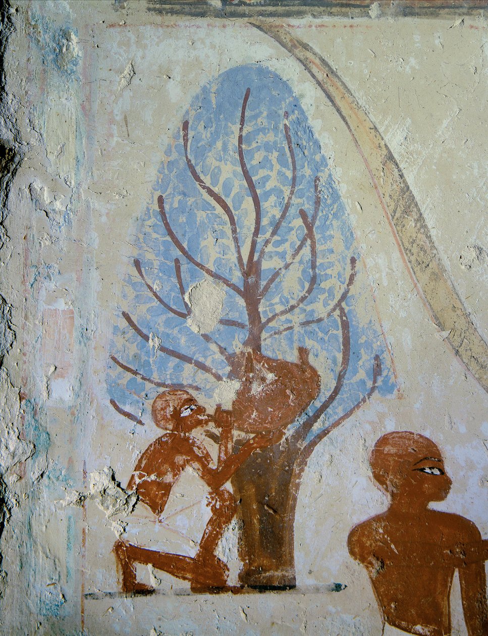  da Egyptian 18th Dynasty