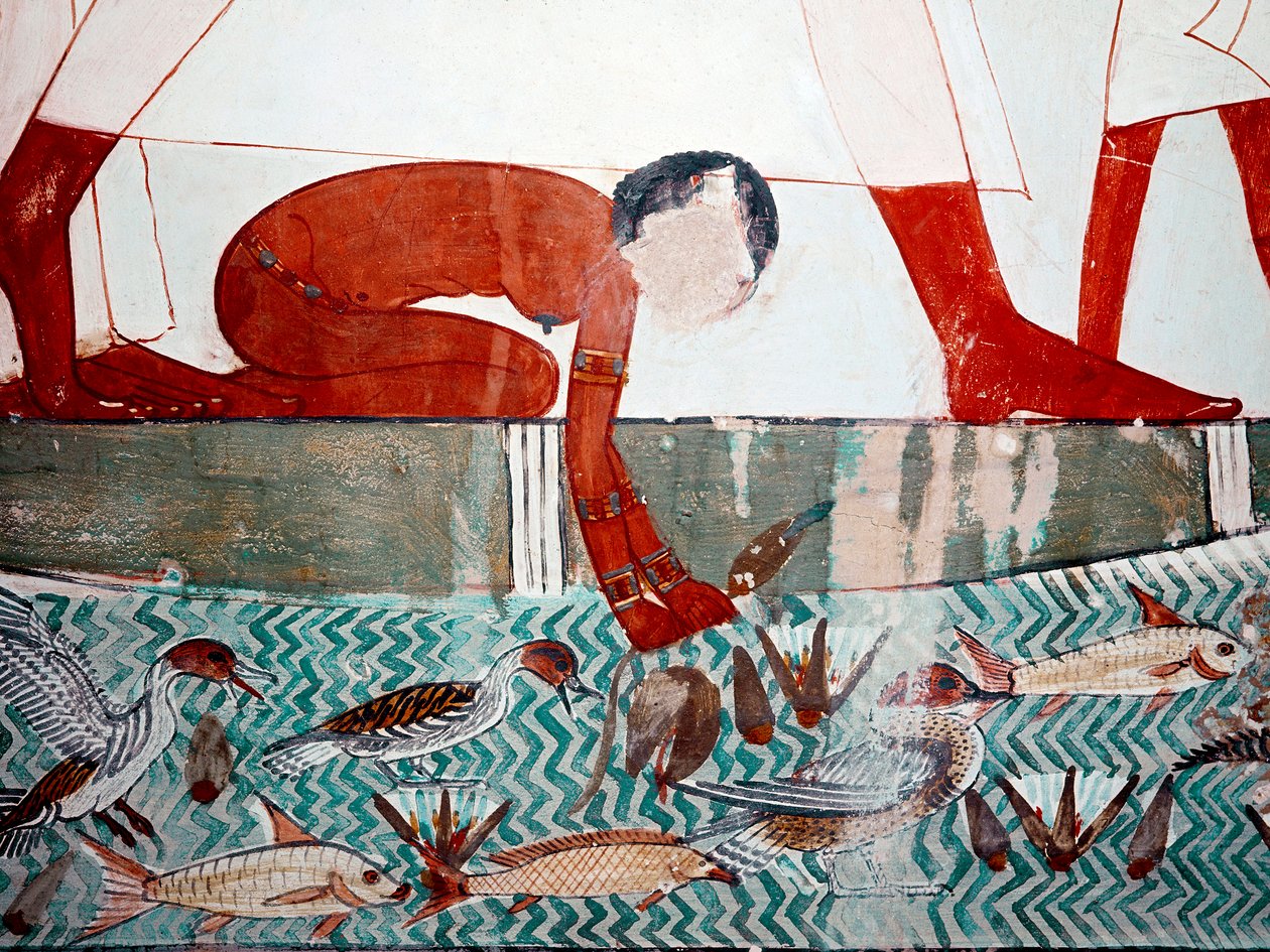 Arte egizia: Tomba di Menna. Scena di pesca, dettaglio. Una serva nuda raccoglie un fiore di loto (XVIII dinastia) Affresco di Luxor (Sito di Tebe, Sheikh Abd al-Gournah, riva sinistra del Nilo, Egitto) da Egyptian 18th Dynasty