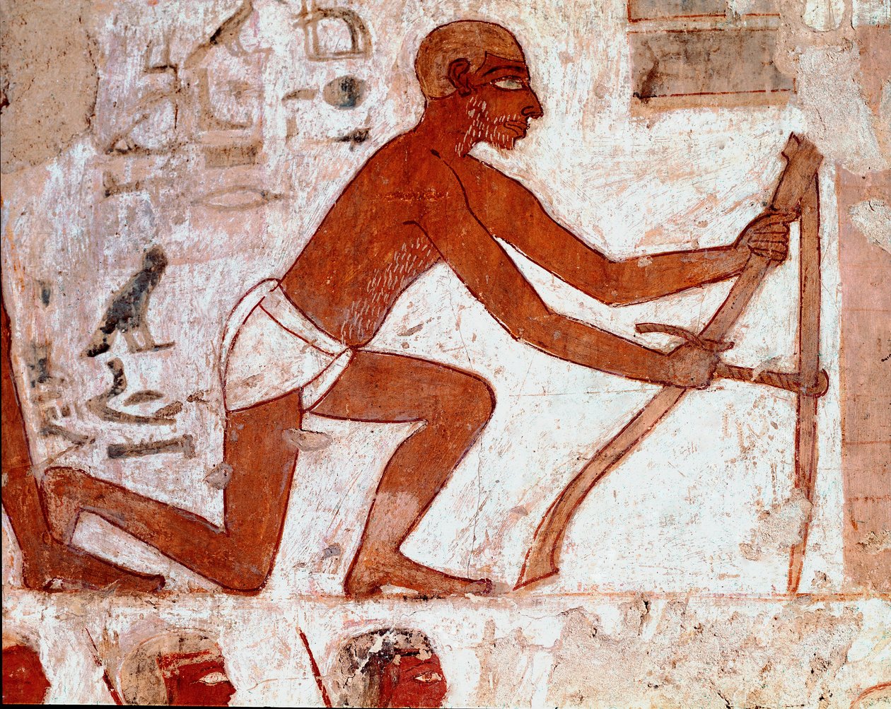 Arte egizia: Tomba di Rekhmire. Lavoro del contadino con il suo attrezzo agricolo. Affresco di Luxor (Sito di Tebe, Necropoli di Sheikh Abd al-Gournah (Gournah), riva sinistra del Nilo, Egitto. - Antico Egitto: Tomba di Rekhmire. Il lavoro di un contadino  da Egyptian 18th Dynasty