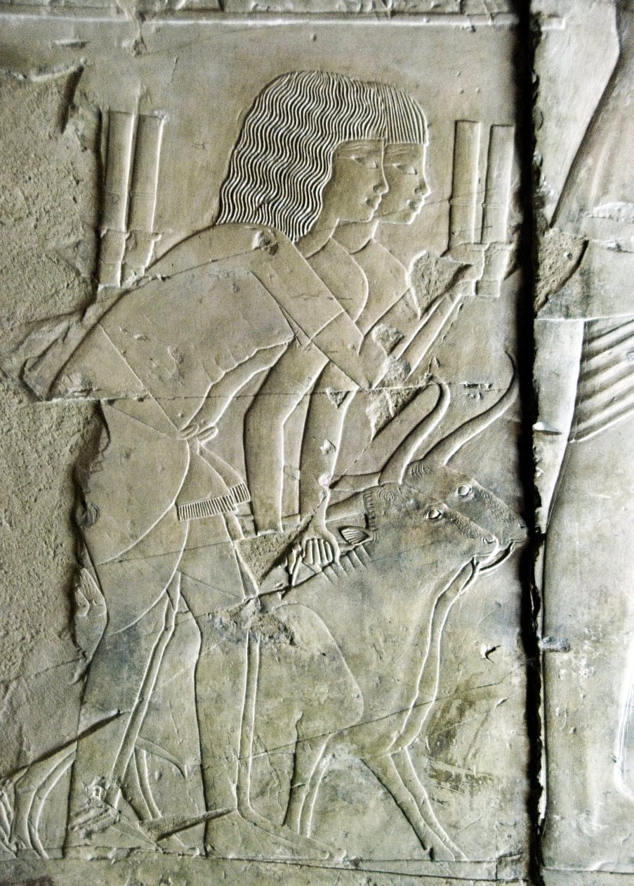 Antichità egizia: rilievi dalla tomba di Kha em Het (Khaemhat) ispettore dei granai e scriba alla corte di Amenofi III (TT57) che rappresentano uomini che offrono teste di barbabietola come offerta. XVIII dinastia. 1530-1290 a.C. Valle dei Nobili. Luxor, R da Egyptian 18th Dynasty