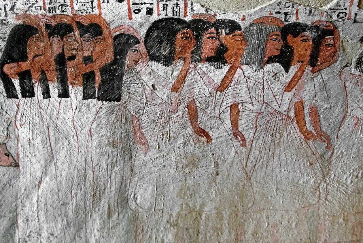 Antichità egizia: processione di piangenti. Dipinto della Tomba di Roy (TT255). XVIII dinastia. Dalla riva occidentale di Luxor, Egitto da Egyptian 18th Dynasty