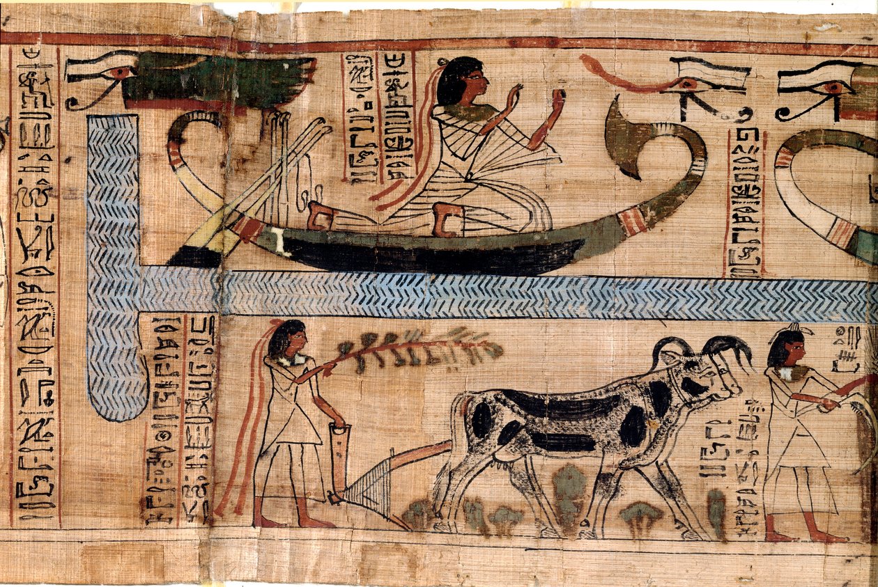 Antichità egizia: il nome del defunto Aner rappresentato sulla barca di Osiride, scena di aratura e pesatura delle anime (psicostasi). Papiro da un Libro dei Morti, XX dinastia, da Tebe. Torino, Museo Egizio da Egyptian 18th Dynasty