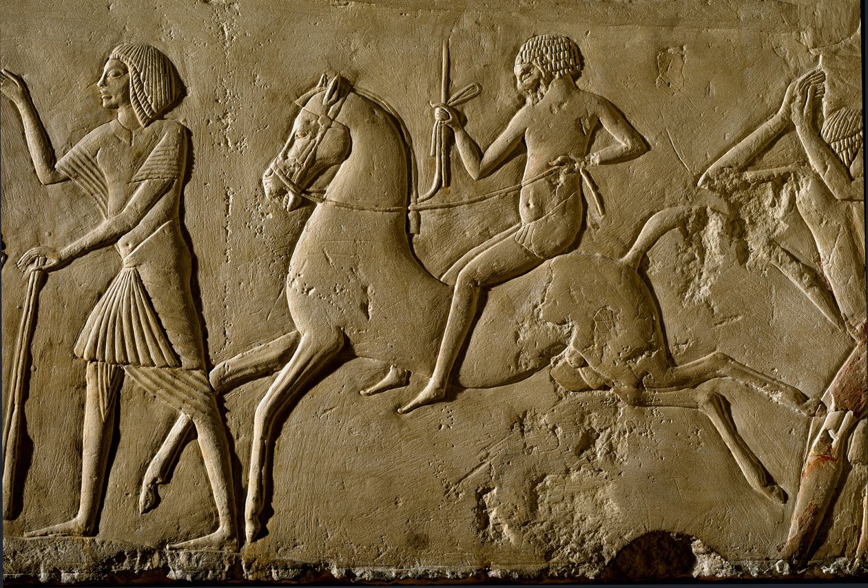 Antichità egizia: "guerriero a cavallo". Rilievo da una tomba di un alto dignitario. 1354-1346 a.C. XVIII dinastia. Bologna, Civico Museo Archeologico da Egyptian 18th Dynasty