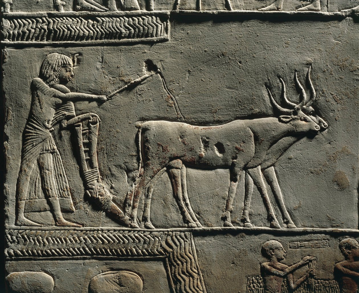 Horemheb che ara la terra nei Campi di Iaru. Rilievo dalla tomba di Horemheb a Saqqara, dettaglio. da Egyptian 18th Dynasty