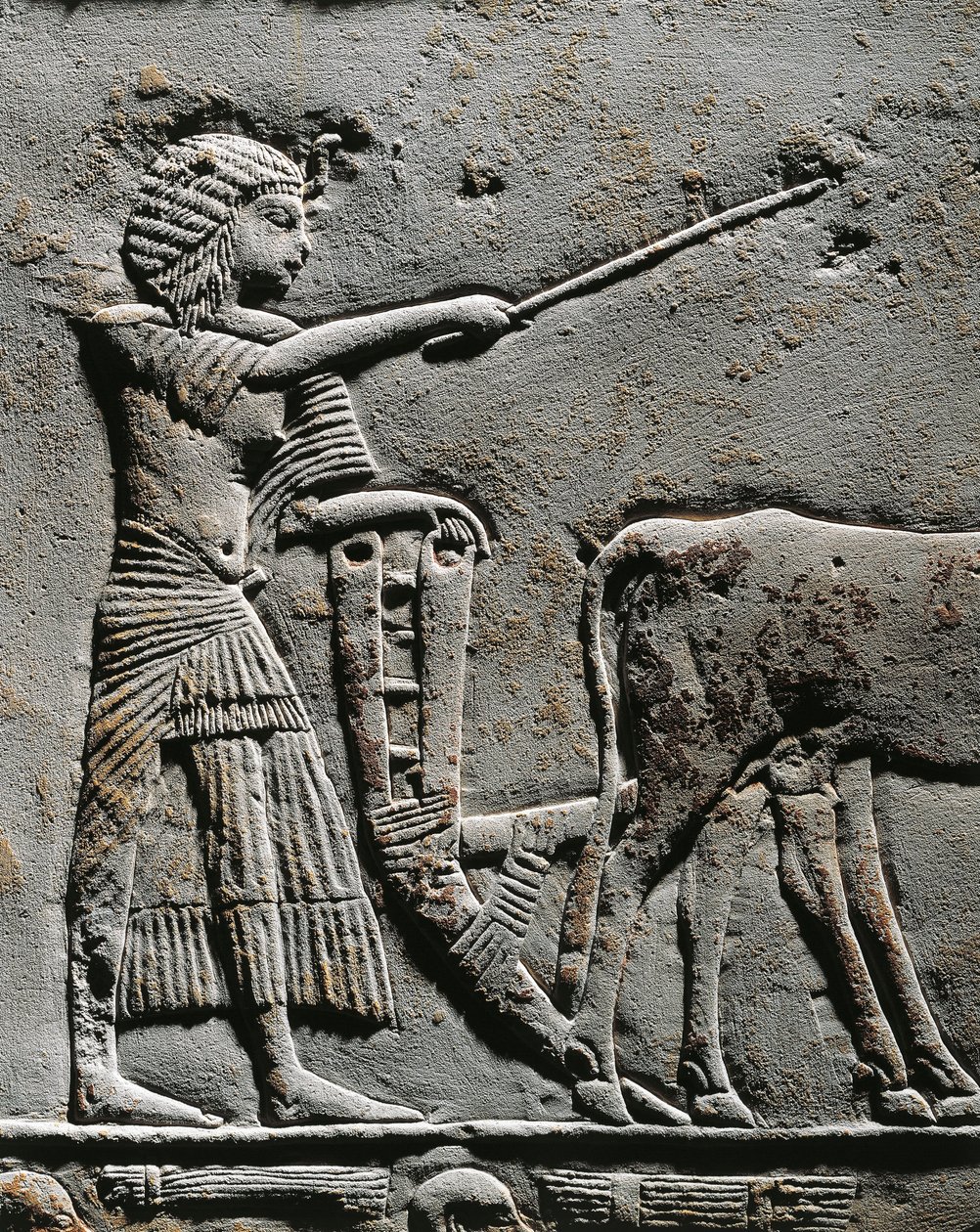 Horemheb che ara la terra nei Campi di Iaru, rilievo dalla tomba di Horemheb a Saqqara (dettaglio) da Egyptian 18th Dynasty