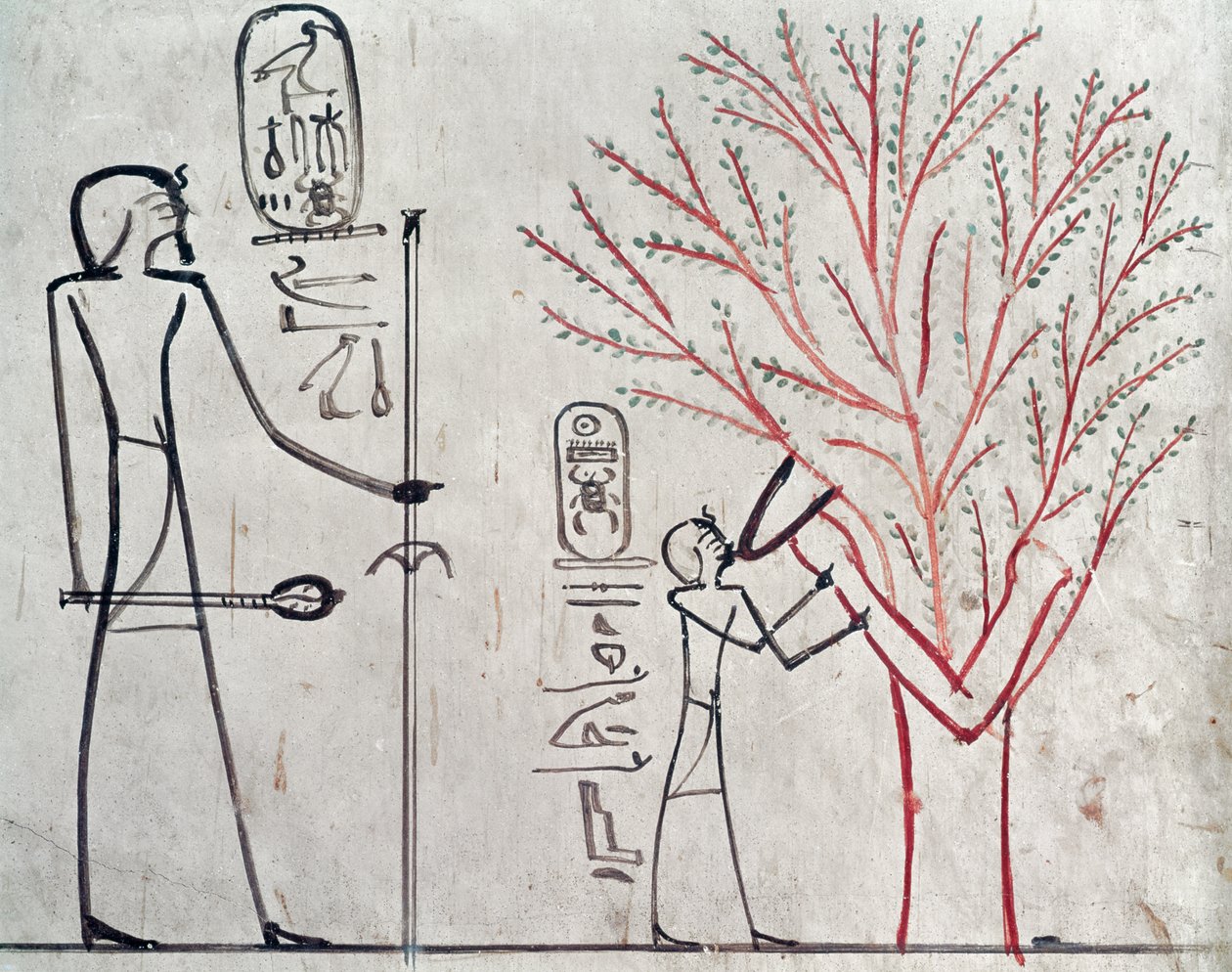 Iside trasformata in un sicomoro che allatta Tuthmosis III, c.1479-1425 a.C. da Egyptian 18th Dynasty