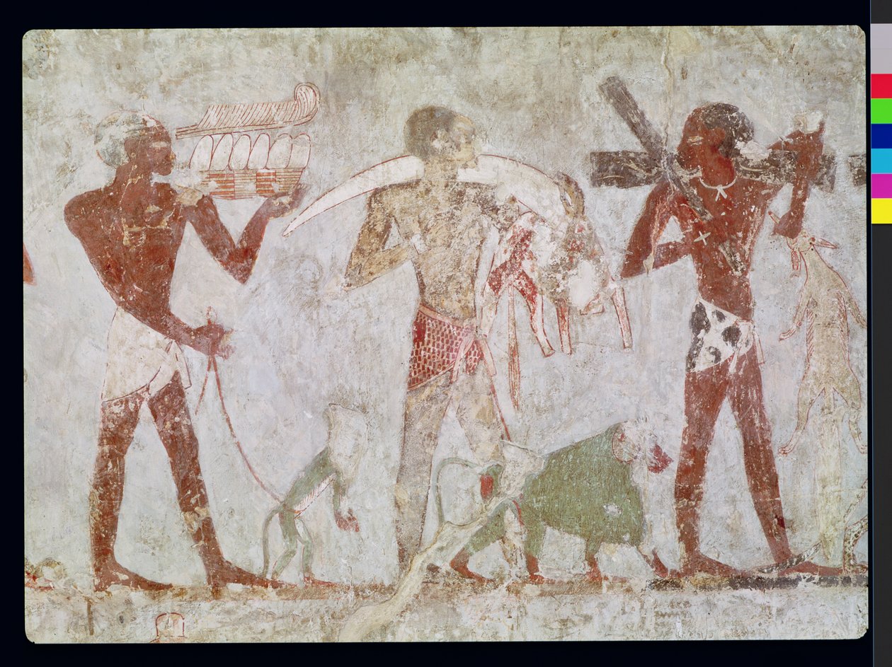 Kushiti che portano tributi di oro, avorio e pelli di animali, dalla Tomba di Rekhmire, visir di Tuthmosis III e Amenhotep II, Nuovo Regno da Egyptian 18th Dynasty