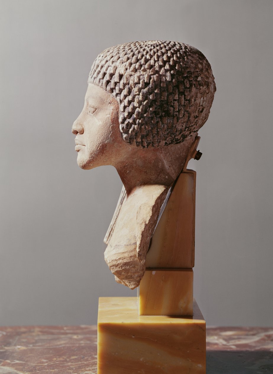 Profilo sinistro della testa di una principessa della famiglia di Akhenaton da Egyptian 18th Dynasty