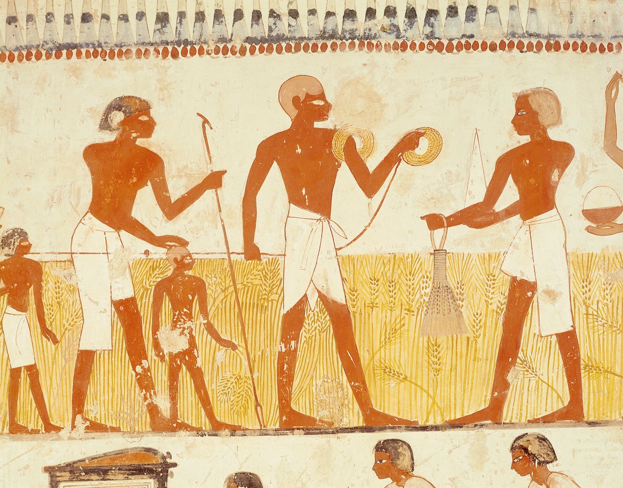 Misurazione della terra usando una corda, dalla Cappella della Tomba di Menna, Nuovo Regno da Egyptian 18th Dynasty