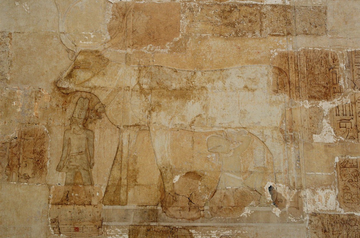 Tempio mortuario della regina Hatshepsut: Cappella di Hathor, la dea nella sua forma bovina, con corona, viene nutrita da Hatshepsut (fotografia) da Egyptian 18th Dynasty