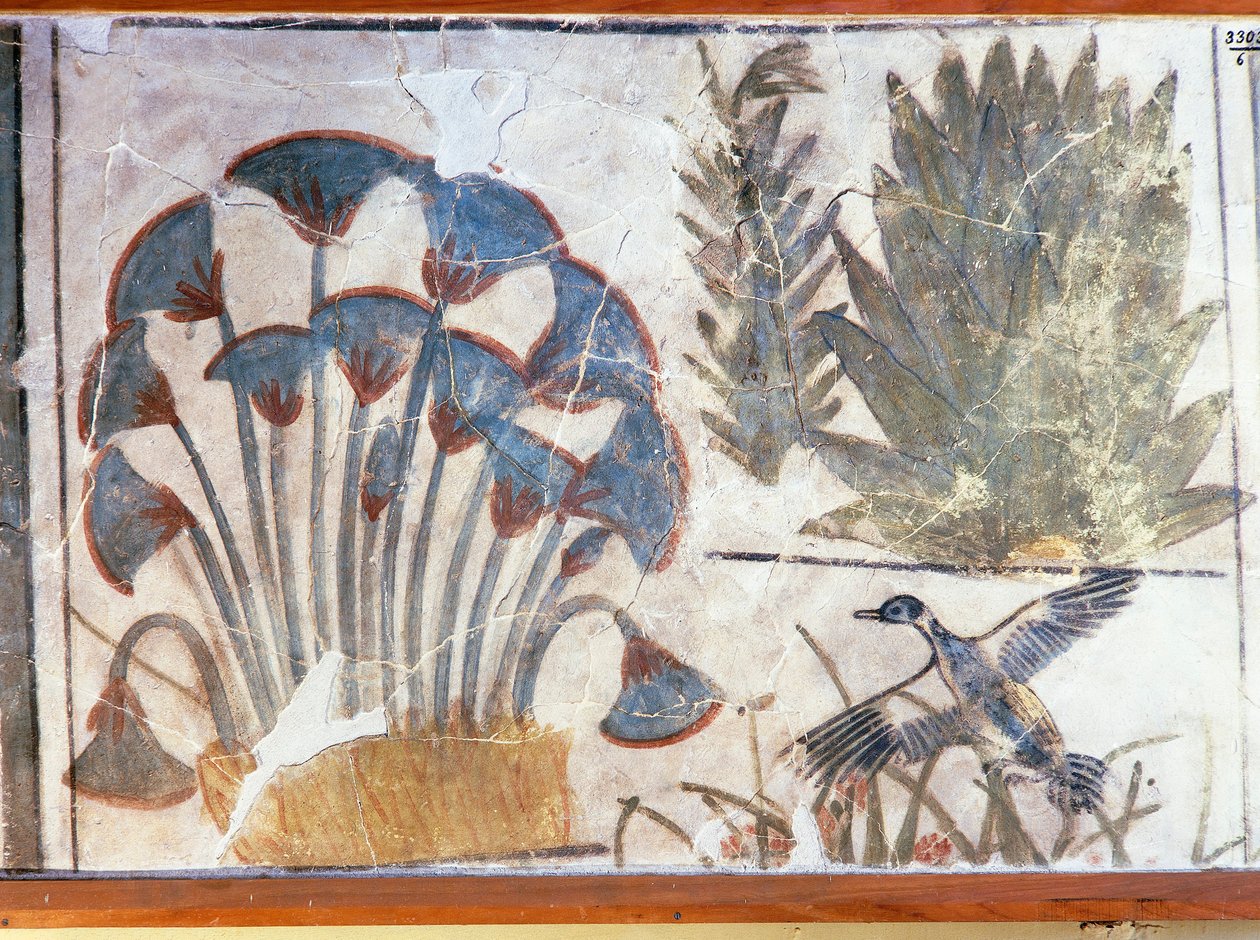 Dipinto raffigurante un