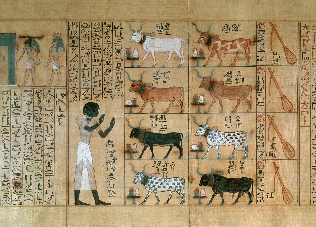 Papiro raffigurante buoi, dal Libro dei Morti di Maiherperi da Egyptian 18th Dynasty