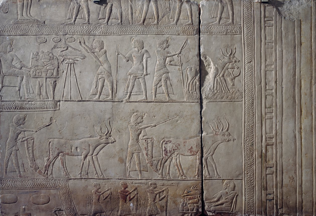 Faraone Horemheb, raffigurato mentre svolge lavori agricoli nei campi di Iaru, ricevendo il raccolto offerto dai contadini, rilievo murale in calcare, dalla tomba memfita di Horemheb a Saqqara, civiltà egizia, Nuovo Regno, Dinastia XVIII da Egyptian 18th Dynasty