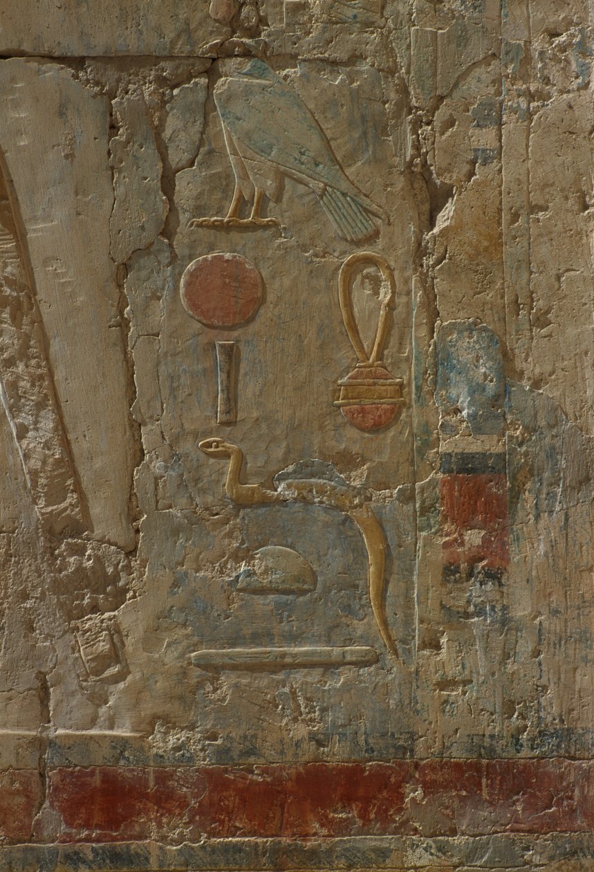 Rilievo che raffigura Horus, cappella della dea Hathor, dal Tempio Mortuario di Hatshepsut da Egyptian 18th Dynasty