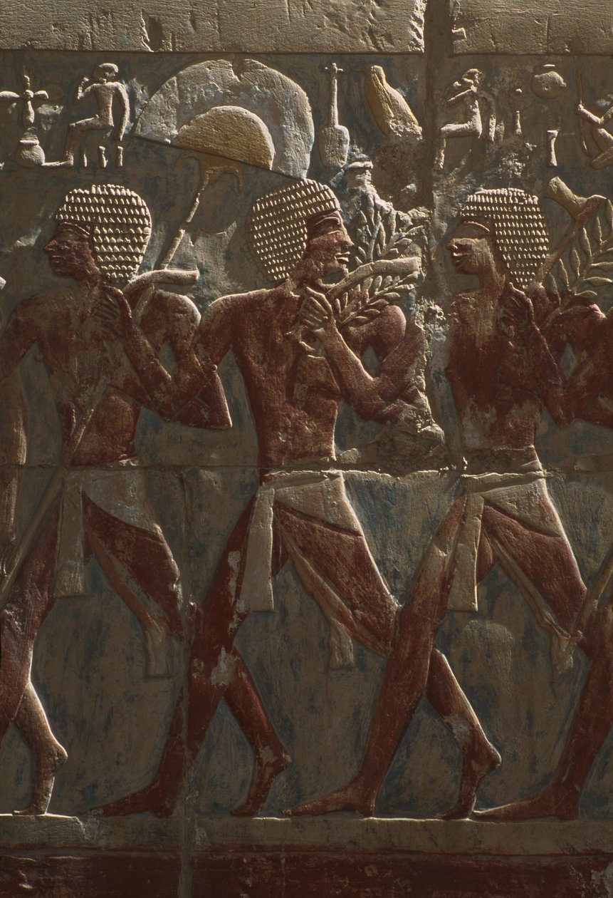 Rilievo che raffigura una parata in onore della dea Hathor (dettaglio) dal Tempio Mortuario di Hatshepsut da Egyptian 18th Dynasty
