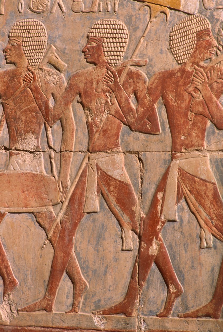 Rilievo che raffigura una parata in onore della dea Hathor (dettaglio) dal Tempio Mortuario di Hatshepsut da Egyptian 18th Dynasty