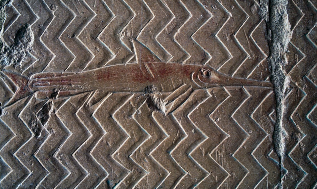Rappresentazione di pesci, scene del Regno di Punt, parete sud del colonnato centrale, Tempio funerario di Hatshepsut, Deir el-Bahari, Luxor, Tebe (Patrimonio Mondiale dell