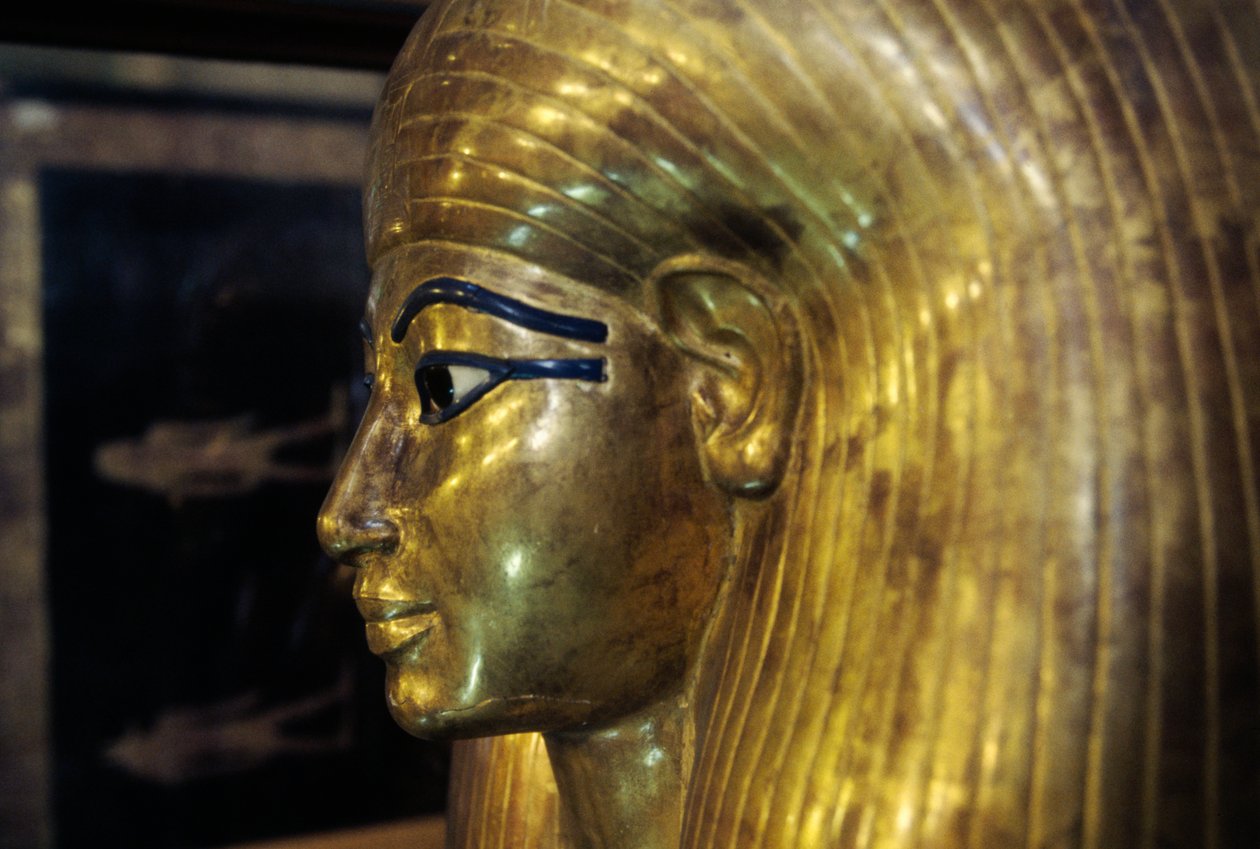 Sarcofago di Tjuya, dalla Tomba di Yuya Tjuya, Valle dei Re, Egitto, civiltà egizia, Nuovo Regno, Dinastia XVIII, (dettaglio) da Egyptian 18th Dynasty