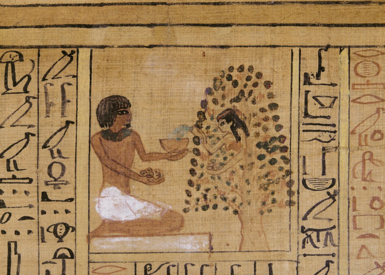 La dea-albero offre acque vivificanti ai defunti (pittura murale) da Egyptian 18th Dynasty