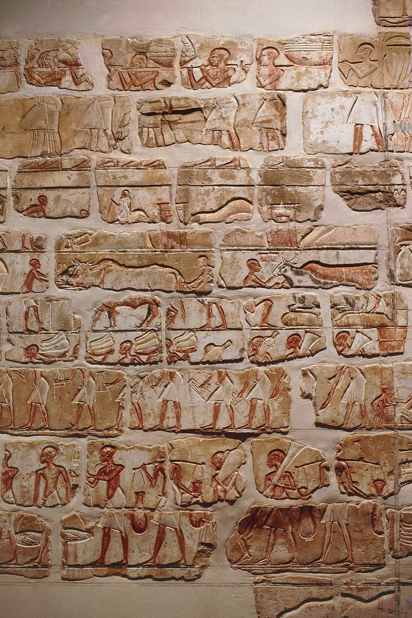 Muro di Akhenaton, Nuovo Regno, XVIII dinastia da Egyptian 18th Dynasty