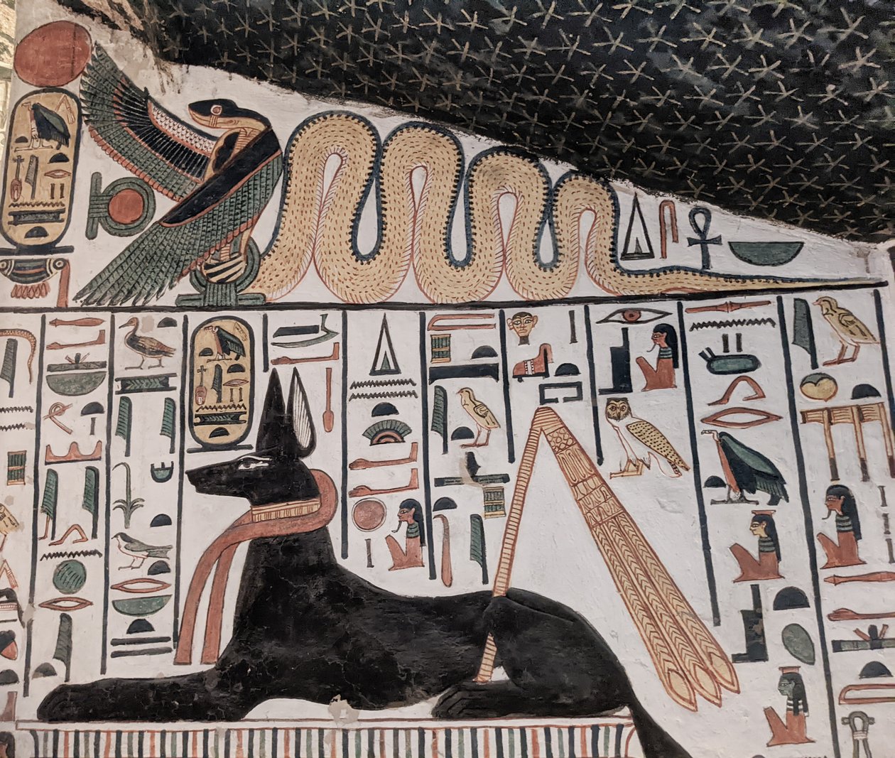 Anubi e cobra da Egyptian 19th Dynasty