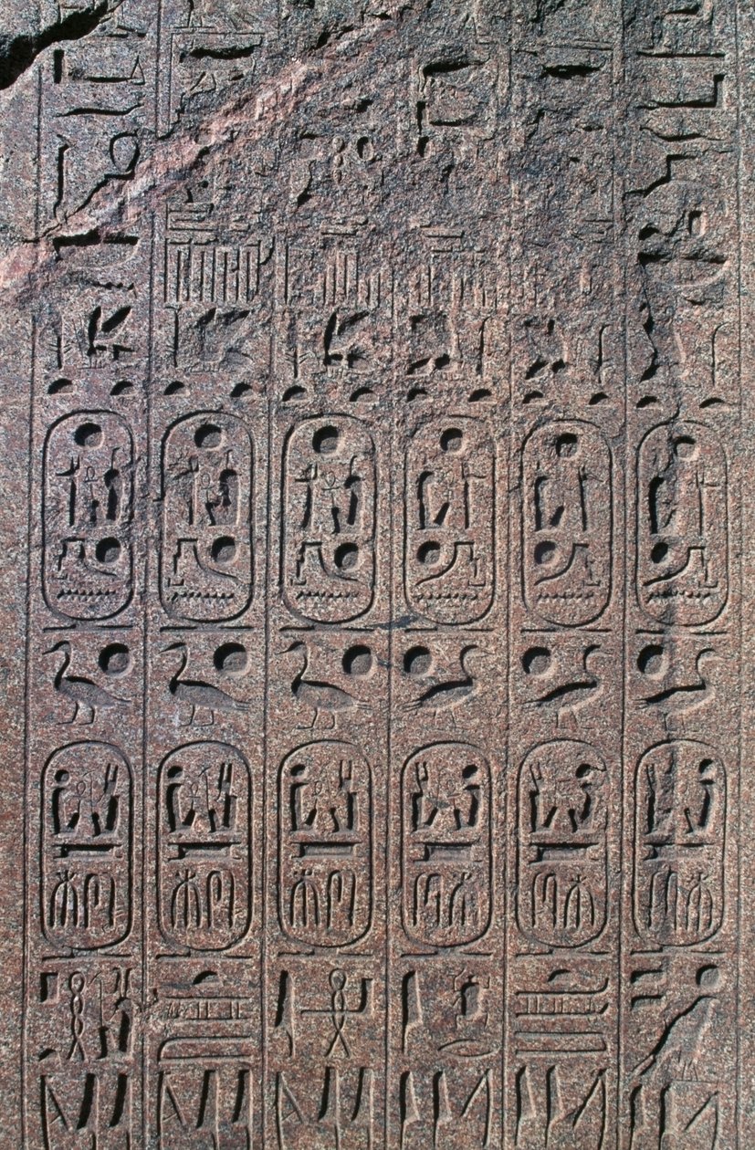 Blocco con rilievi e iscrizioni, Grande Tempio di Amon, Tanis, Egitto, Nuovo Regno, Dinastia XIX da Egyptian 19th Dynasty