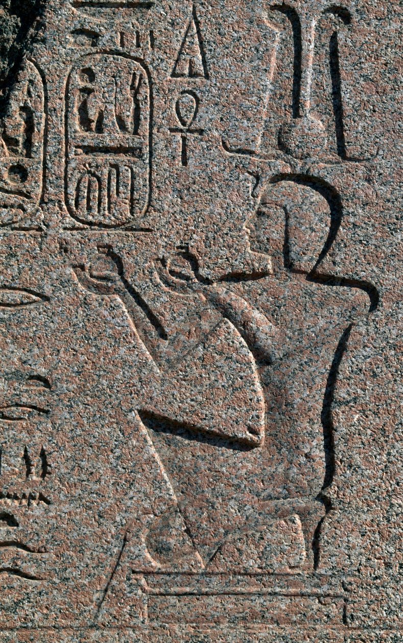 Blocco con rilievi e iscrizioni di Ramses II, Grande Tempio di Amon, Tanis, Egitto, civiltà egizia, Nuovo Regno, XIX dinastia da Egyptian 19th Dynasty