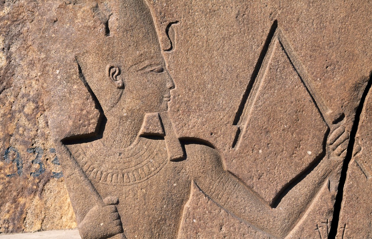 Blocco con rilievi e iscrizioni di Ramesse II, Grande Tempio di Amon, Tanis, Egitto, Civiltà Egizia, Nuovo Regno, XIX Dinastia da Egyptian 19th Dynasty