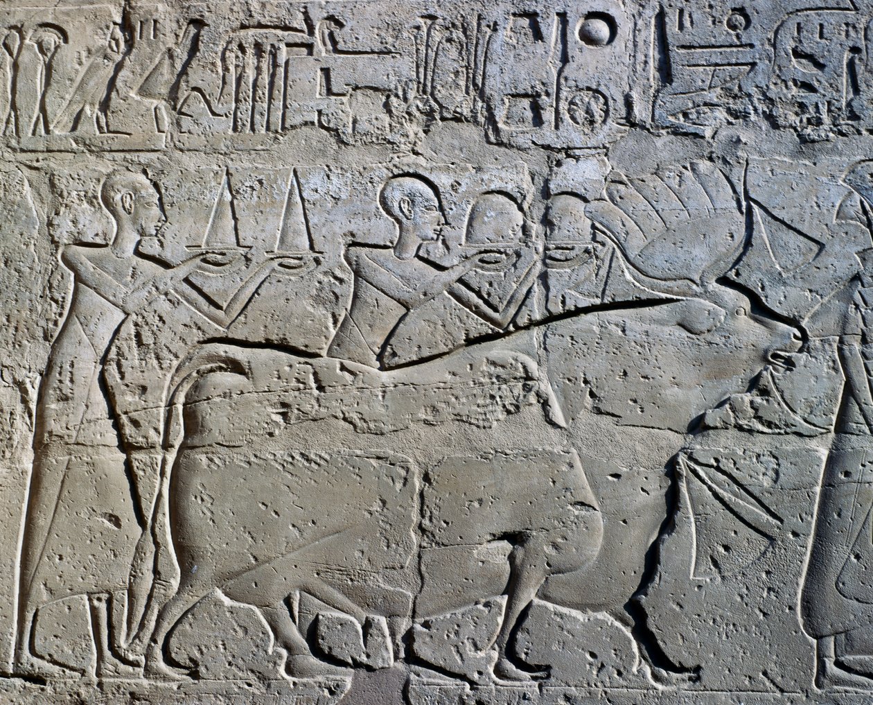 Personaggi che simboleggiano i distretti minerari portano i loro tributi a dio, rilievo, Cortile di Ramesse II, Tempio di Amon (Patrimonio dell