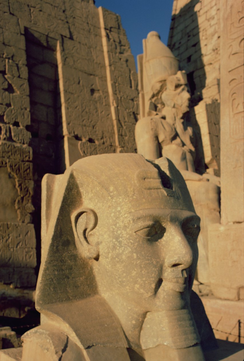 Testa colossale di Ramses II (1298-32 a.C.) Nuovo Regno da Egyptian 19th Dynasty