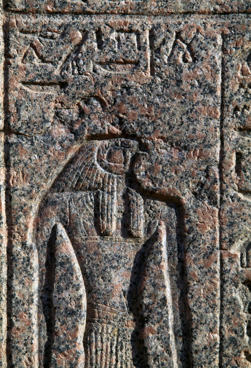 Rappresentazione di Horus, iscrizione e rilievo di Horus e Thoth, sarcofago di Amenhotep, Menfi, Egitto, Nuovo Regno, Dinastia XIX da Egyptian 19th Dynasty