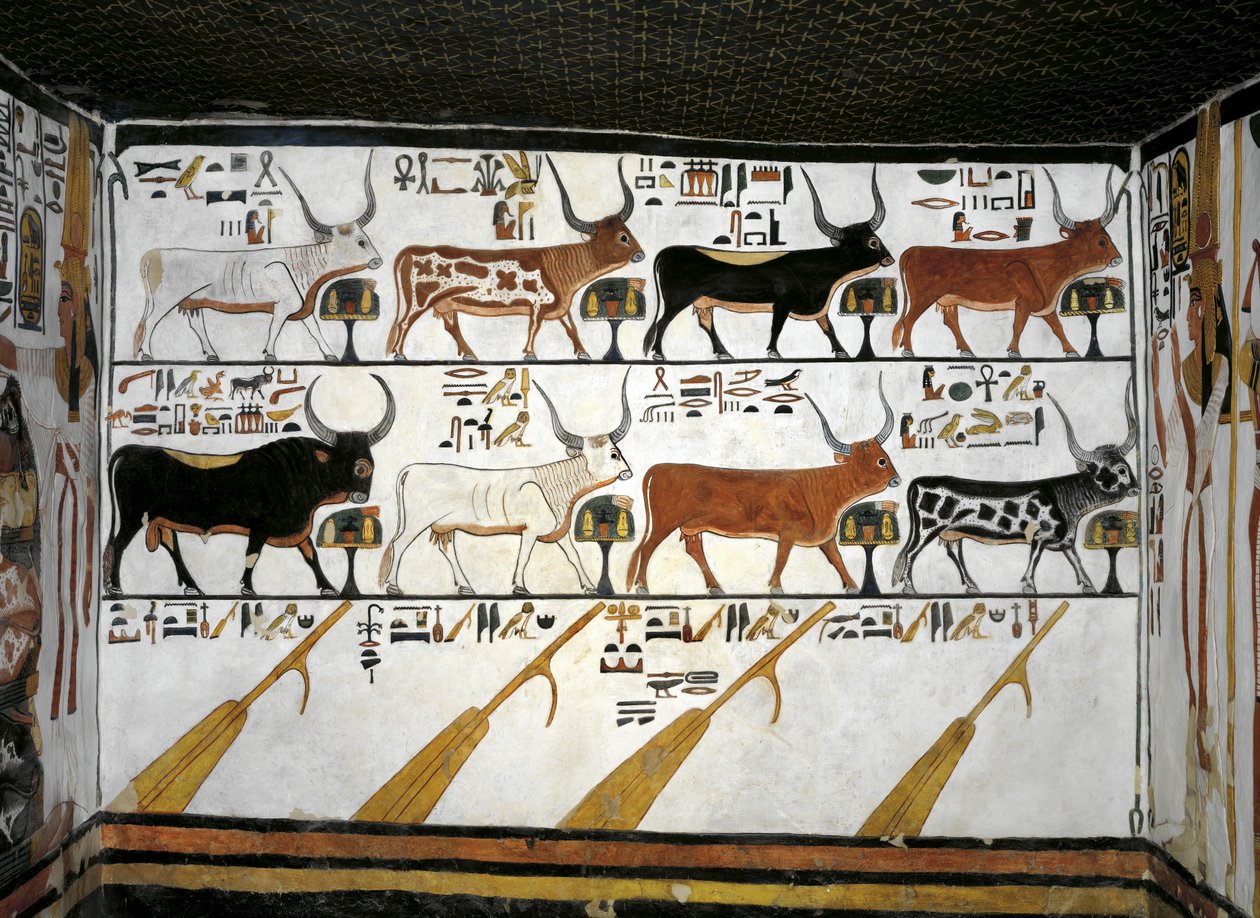 Egitto, Tebe, Luxor, Valle delle Regine, Tomba di Nefertari, Annesso all