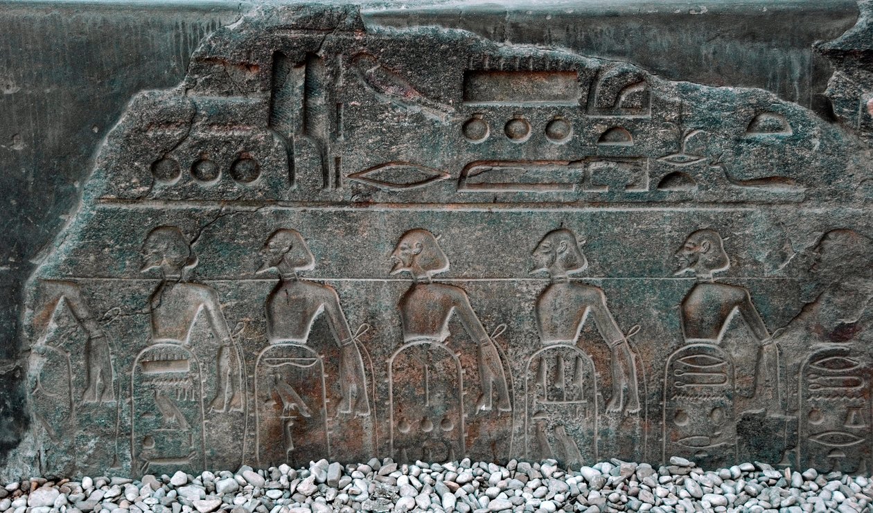 Antichità egizia: dettaglio di un rilievo che decora gli emblemi dei territori conquistati dal faraone Ramses II (1292-1186 a.C.). Tempio di Luxor. Riva Est (Tebe), Egitto da Egyptian 19th Dynasty