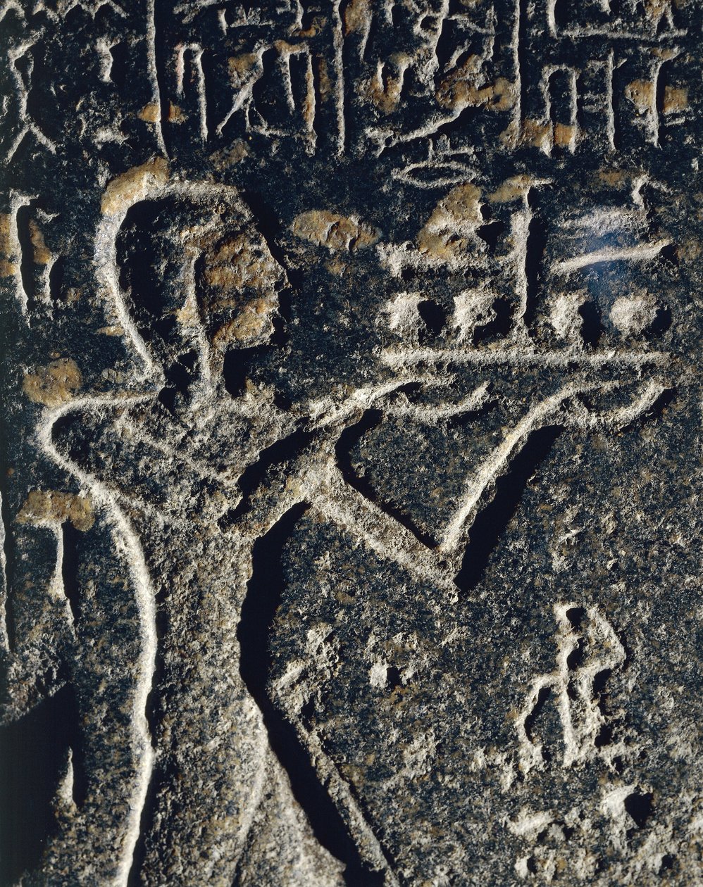 Statua in granito che raffigura il principe Merneptah in adorazione, dedicata al dio Ptah da Egyptian 19th Dynasty