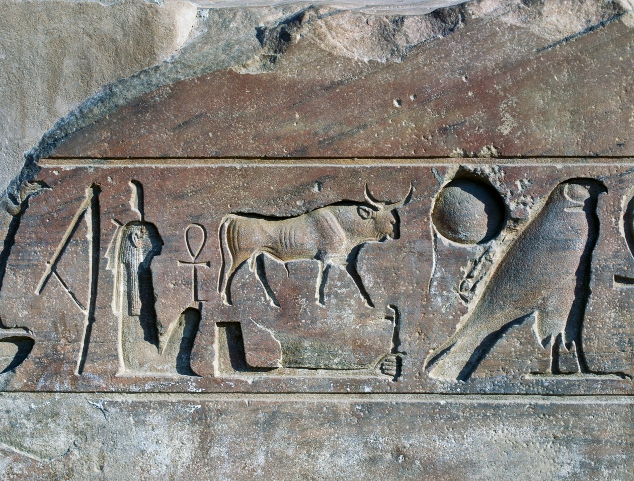 Geroglifici con il nome di Ramses II, base dell
