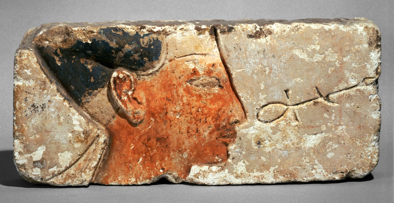 Profilo di un re, probabilmente Ramses II - Profilo del faraone Ramses II. Pietra calcarea dipinta ... da Egyptian 19th Dynasty