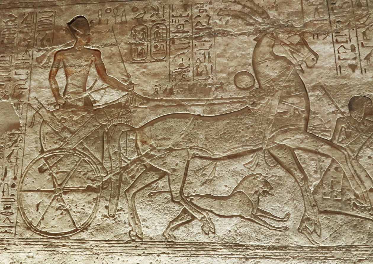 Ramses II sul suo carro, grande tempio di Abu Simbel da Egyptian 19th Dynasty