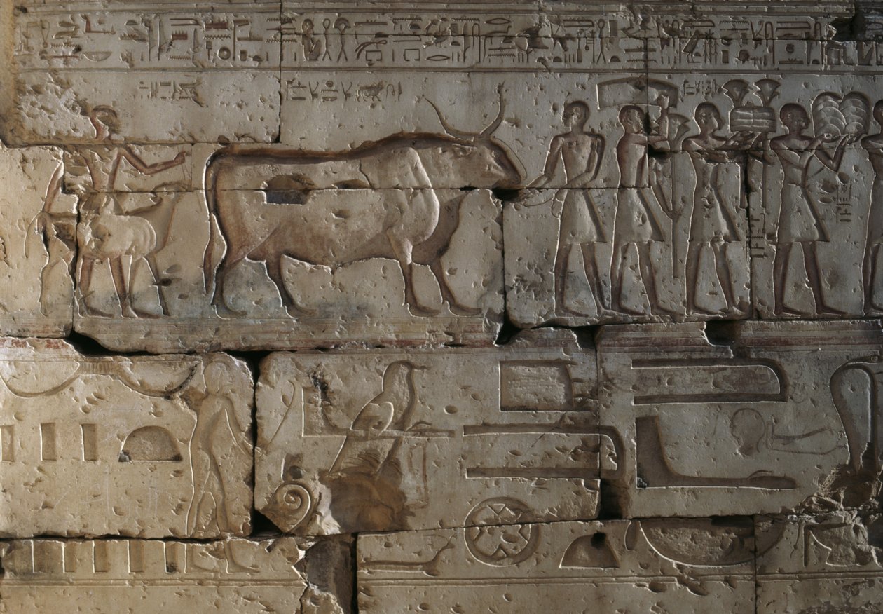 Rilievo, Tempio di Ramses II, Abydos, Egitto, civiltà egiziana, Nuovo Regno, Dinastia XIX da Egyptian 19th Dynasty