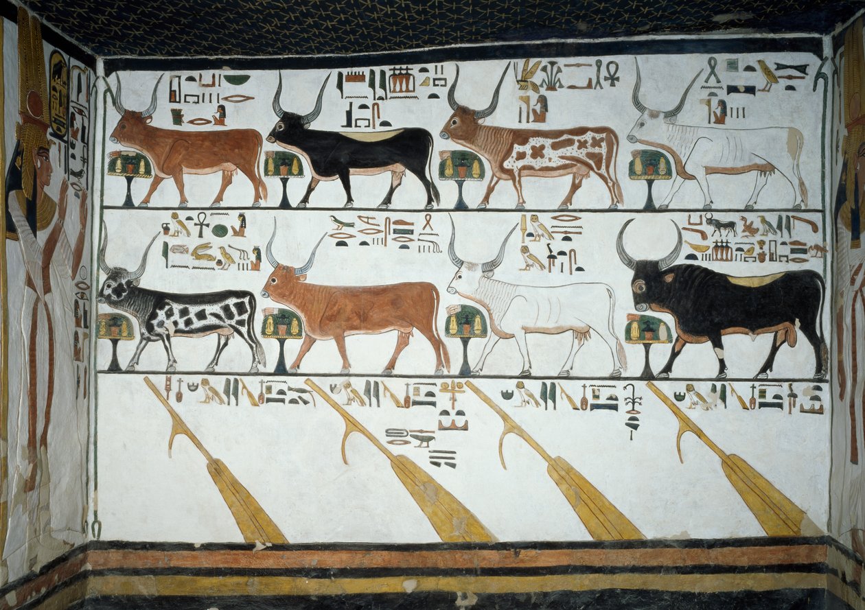Sette vacche celesti, toro marito e quattro remi, capitolo 148 del Libro dei Morti (dettaglio), affreschi nella seconda camera della Tomba di Nefertari, Valle delle Regine, Luxor, Tebe. Civiltà egizia, Nuovo Regno, Dinastia XIX da Egyptian 19th Dynasty
