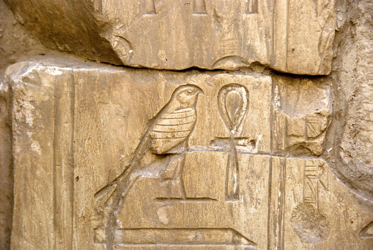 Antichità egizia: cartiglio di Ankh Hor. Tomba di Ankh-Hor (XXVI dinastia), Luxor (Tebe), Egitto da Egyptian 26th Dynasty