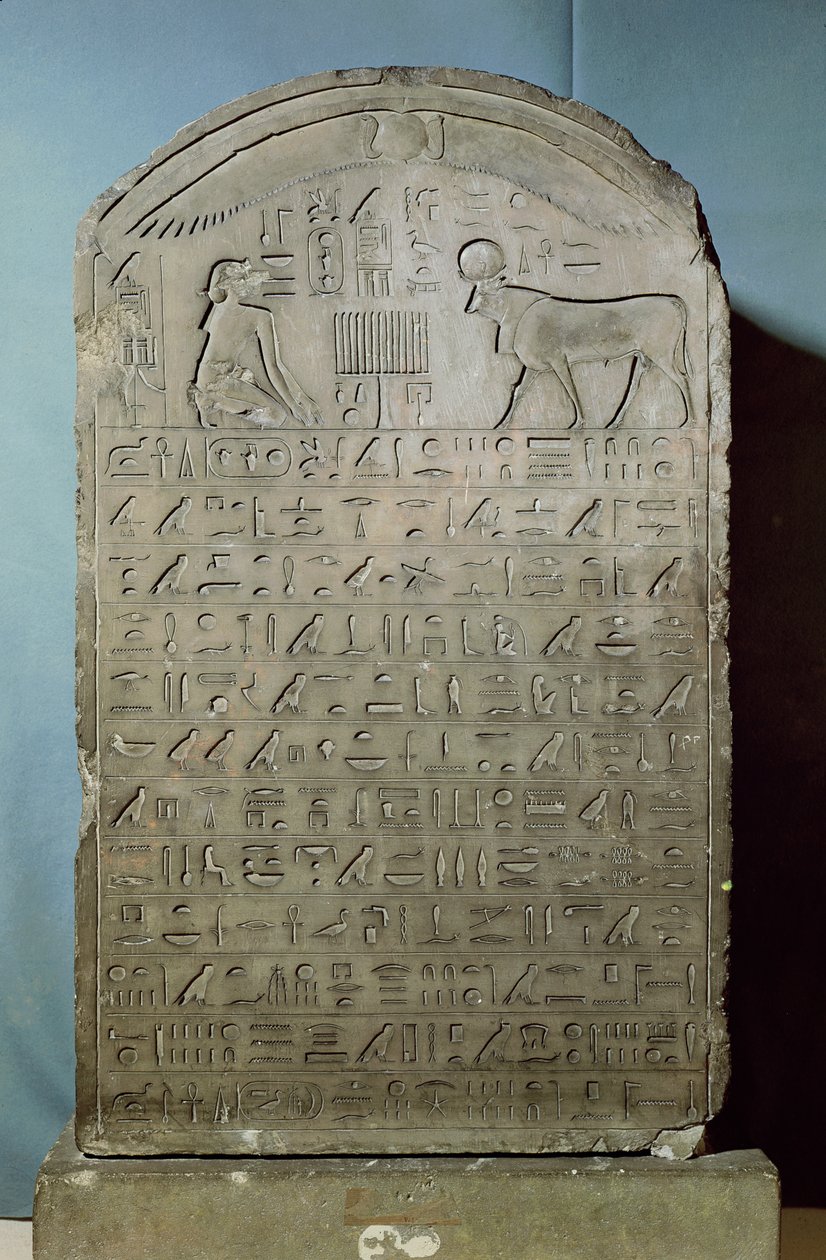 Stele commemorativa della sepoltura del toro Apis durante il regno di Ahmose II (Amasis) dal Serapeo di Saqqara, Periodo Tardo, 547 a.C. (calcare) da Egyptian 26th Dynasty